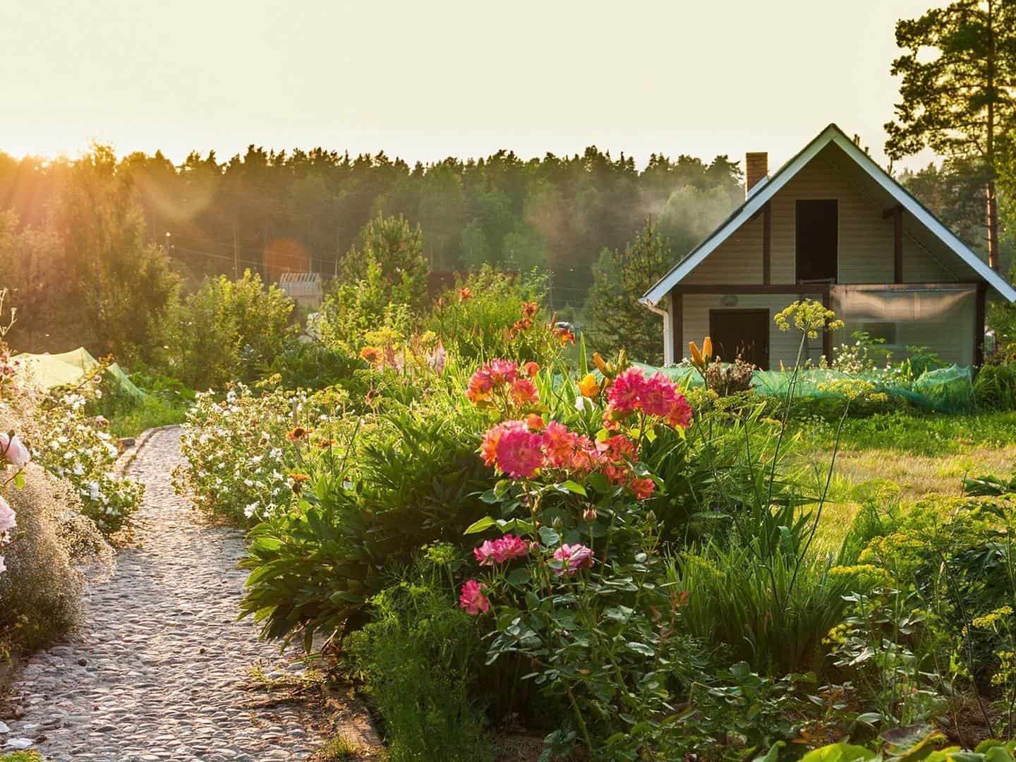 Summer cottage. На даче. Моя дача. Красивые места на даче. Дача картинки.